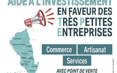 Aide à l’investissement en faveur des très petites entreprises