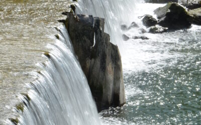 Le SIAGA organise son concours phot’eau 2025 : à vos appareils !